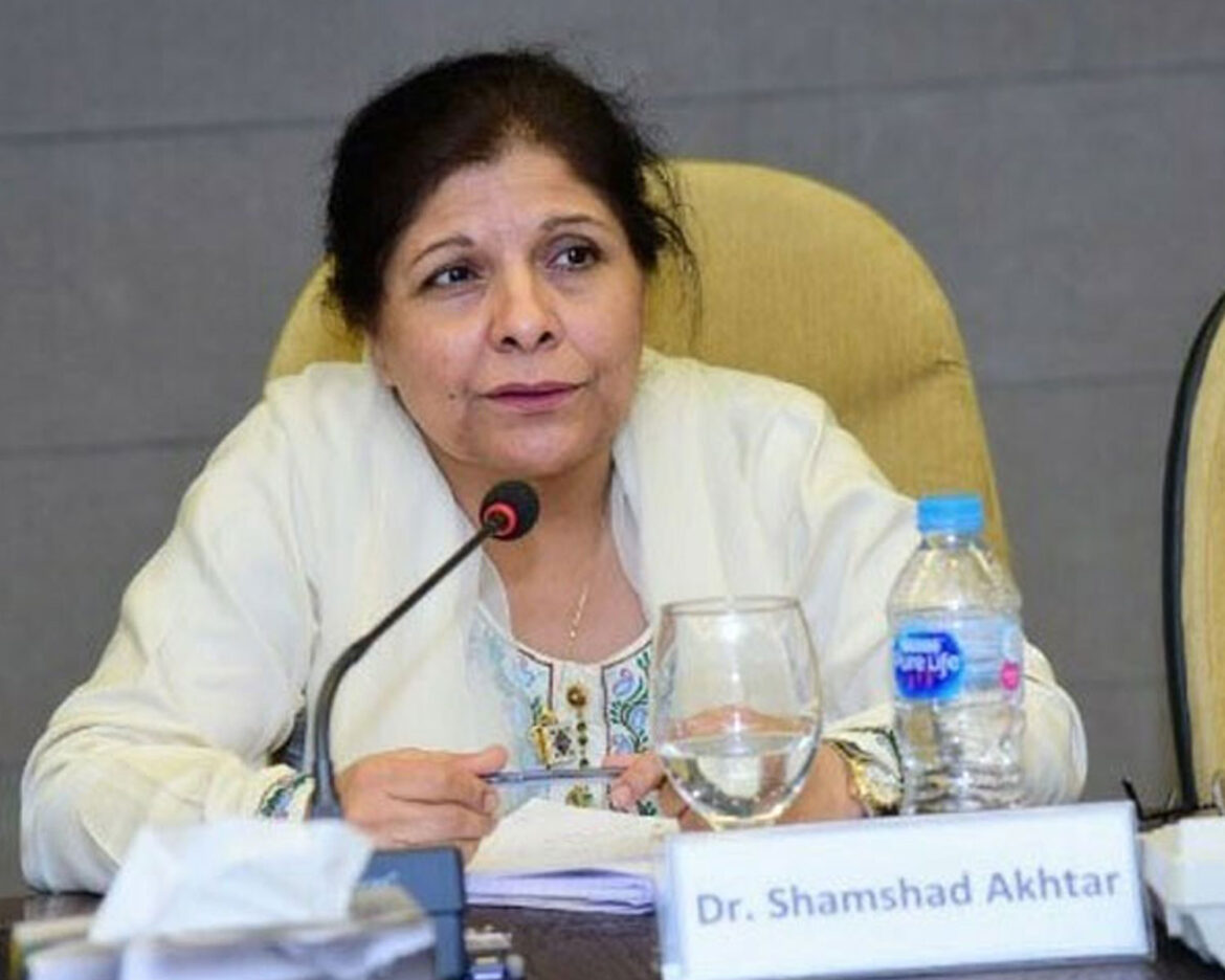 Caretaker-Minister-Economy-recovery