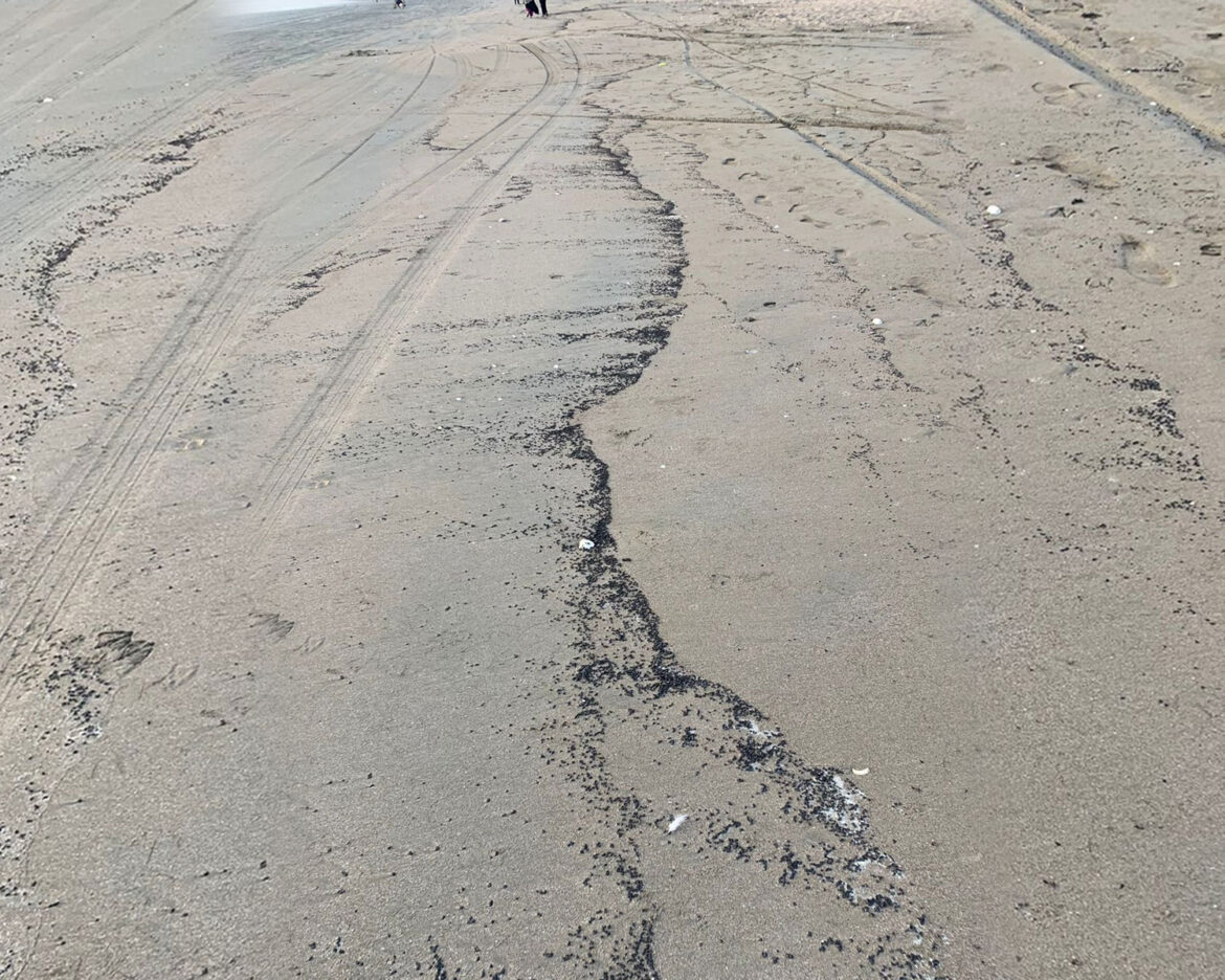 Oil-Pollution-Makran-Gwadar