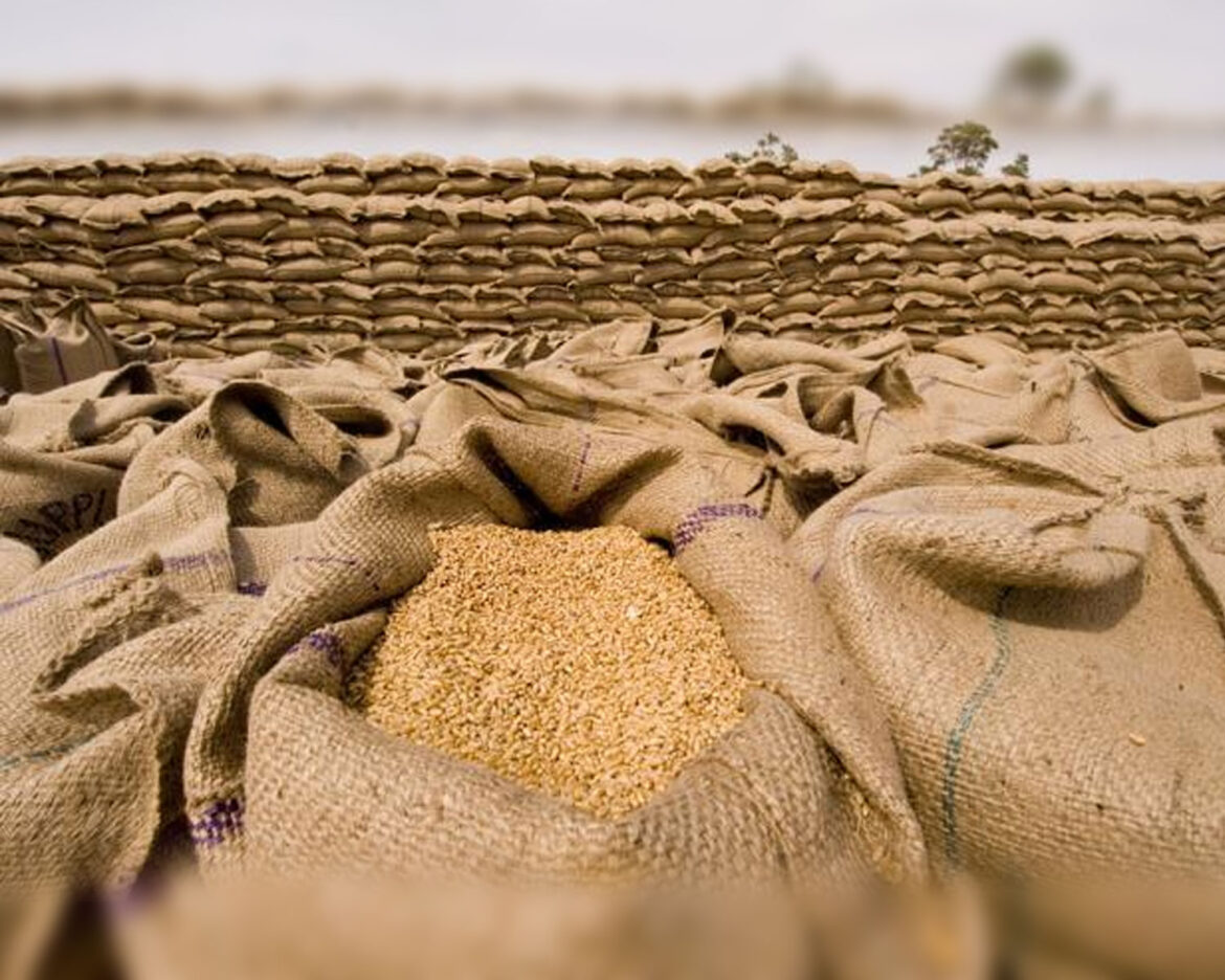 Wheat-import-and-Crackdown-Reduces-Price