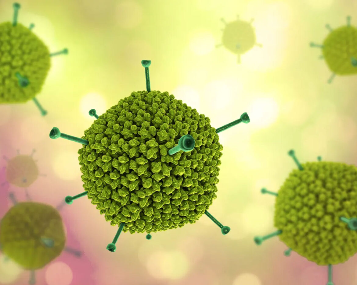 Adenovirus