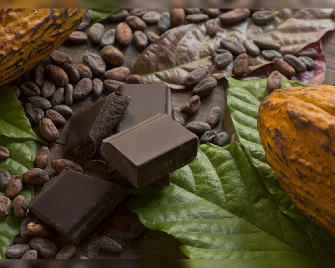 Cocoa-Bean-gets-Expensive-and-short