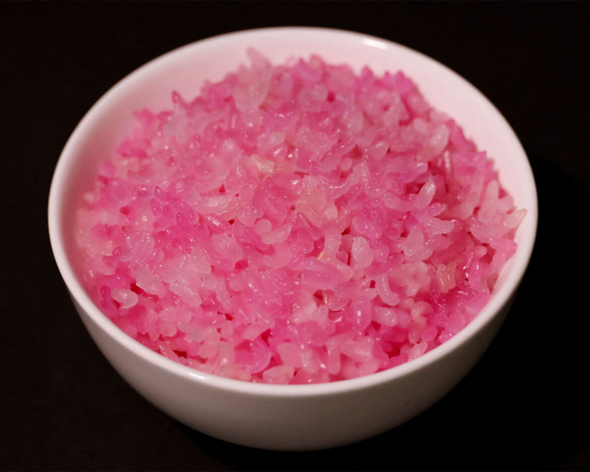 Rice-made-of-beef