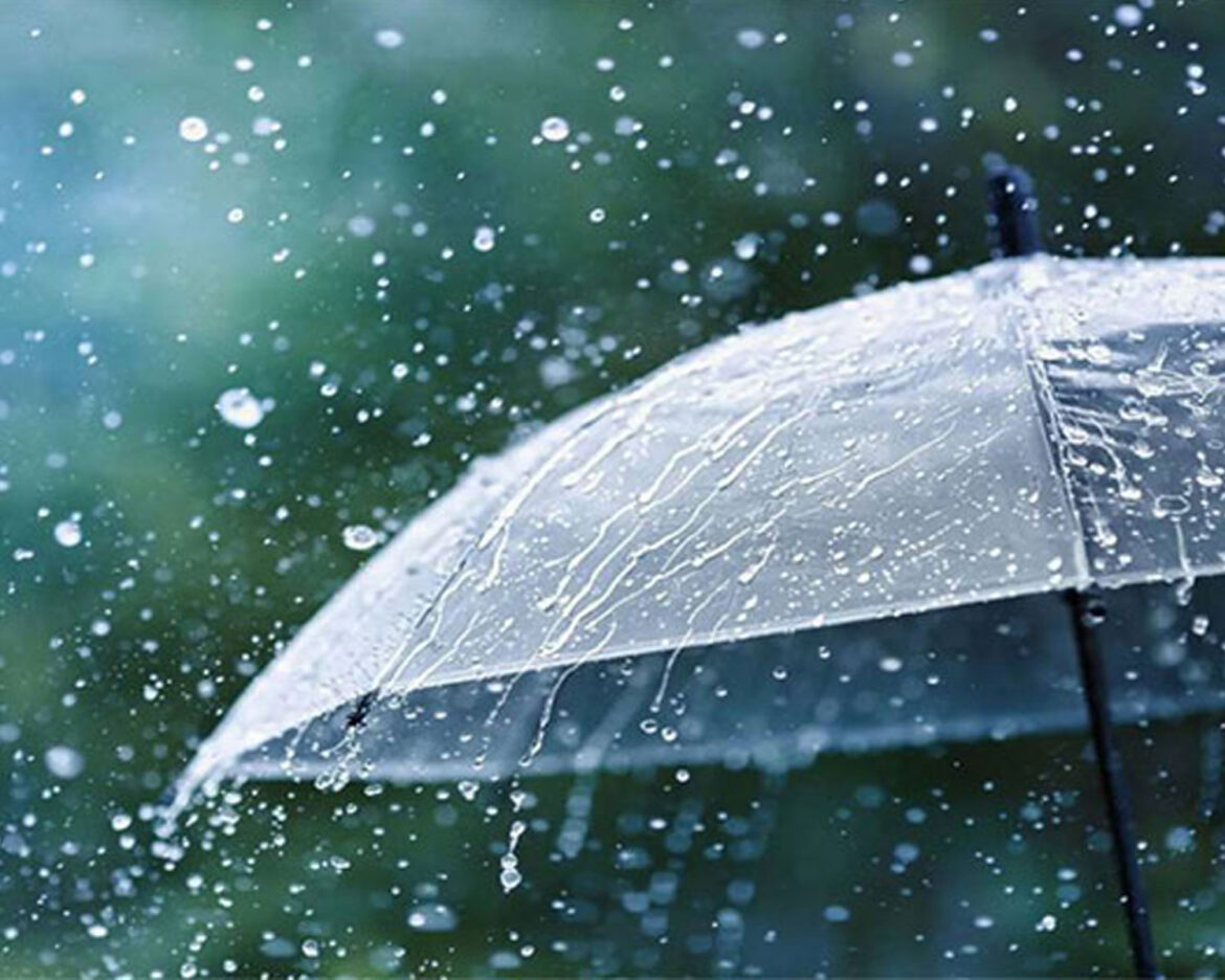 meteorologicals