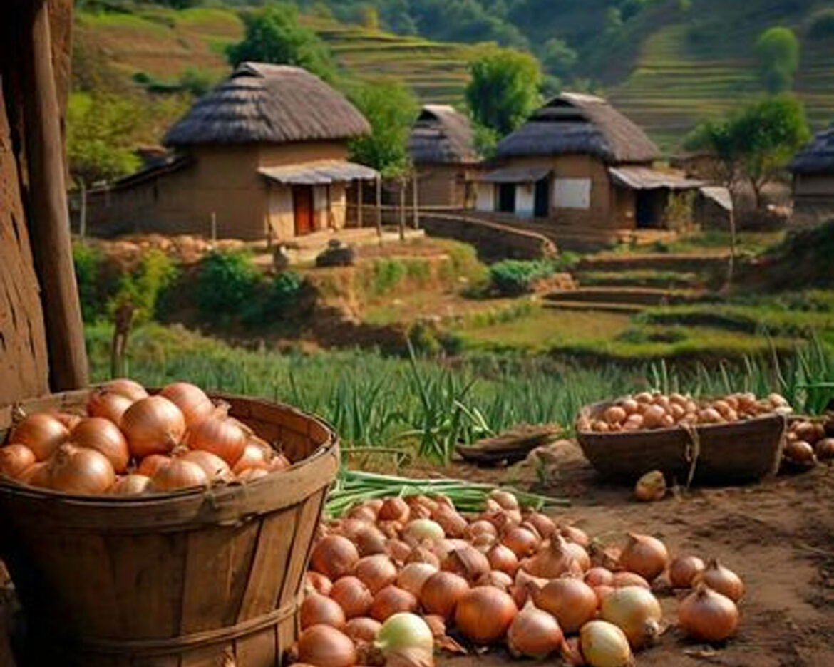 onion-exports