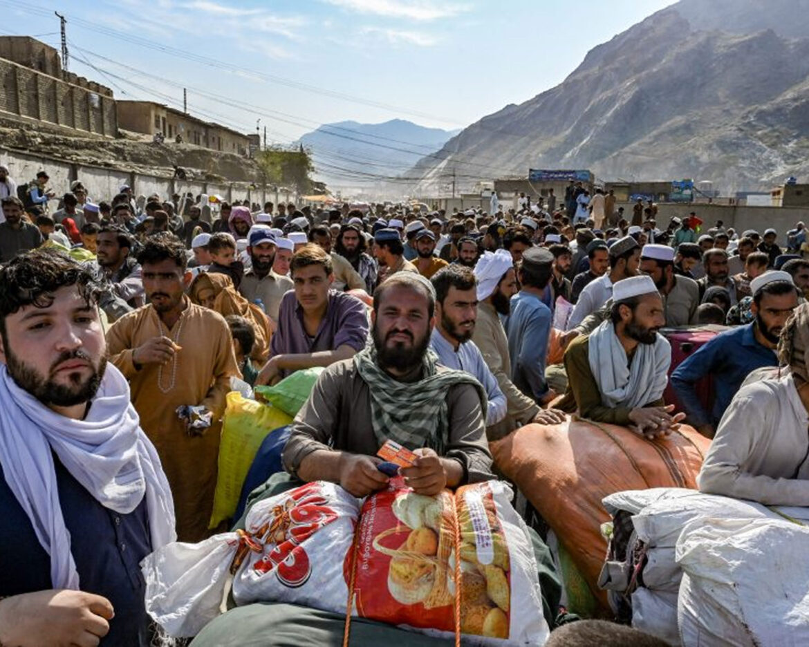 afghans