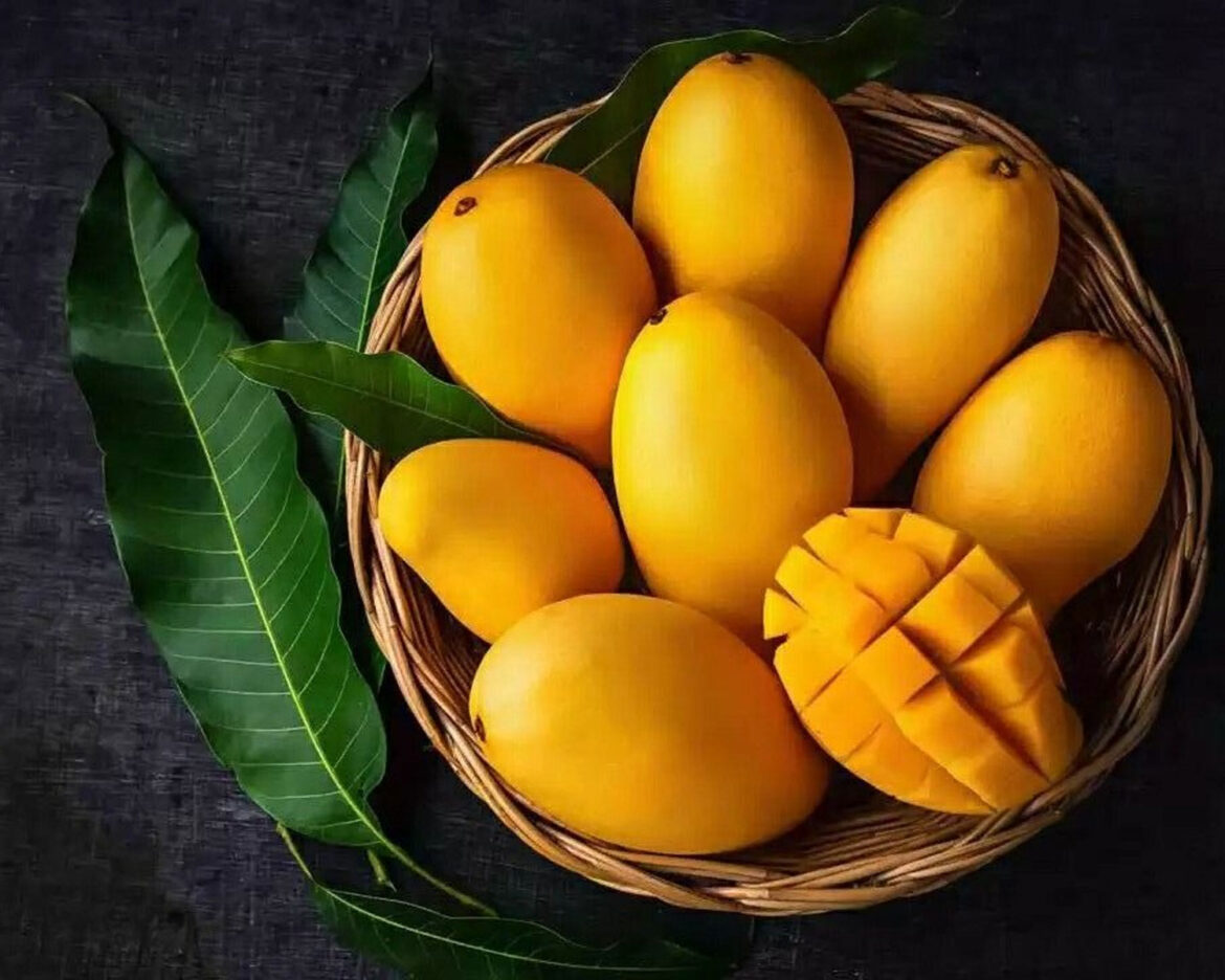 mangos
