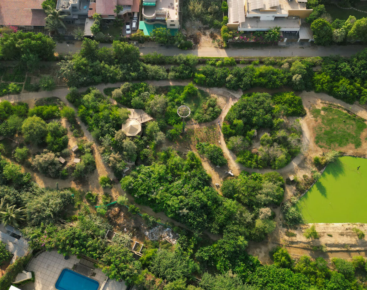 Forest-karachi