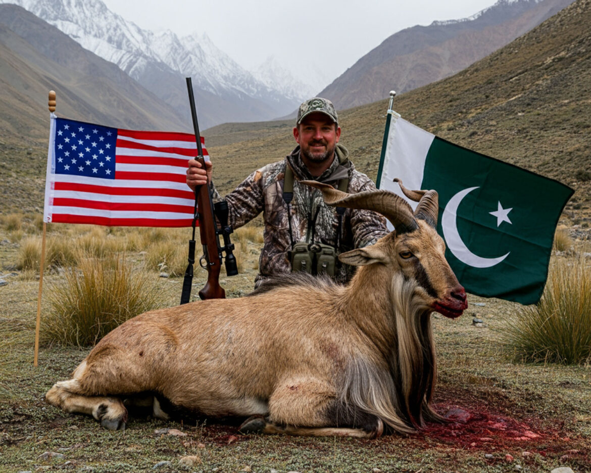 markhors