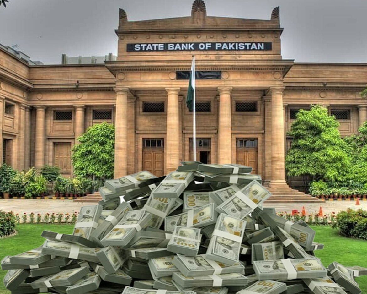 pakistans