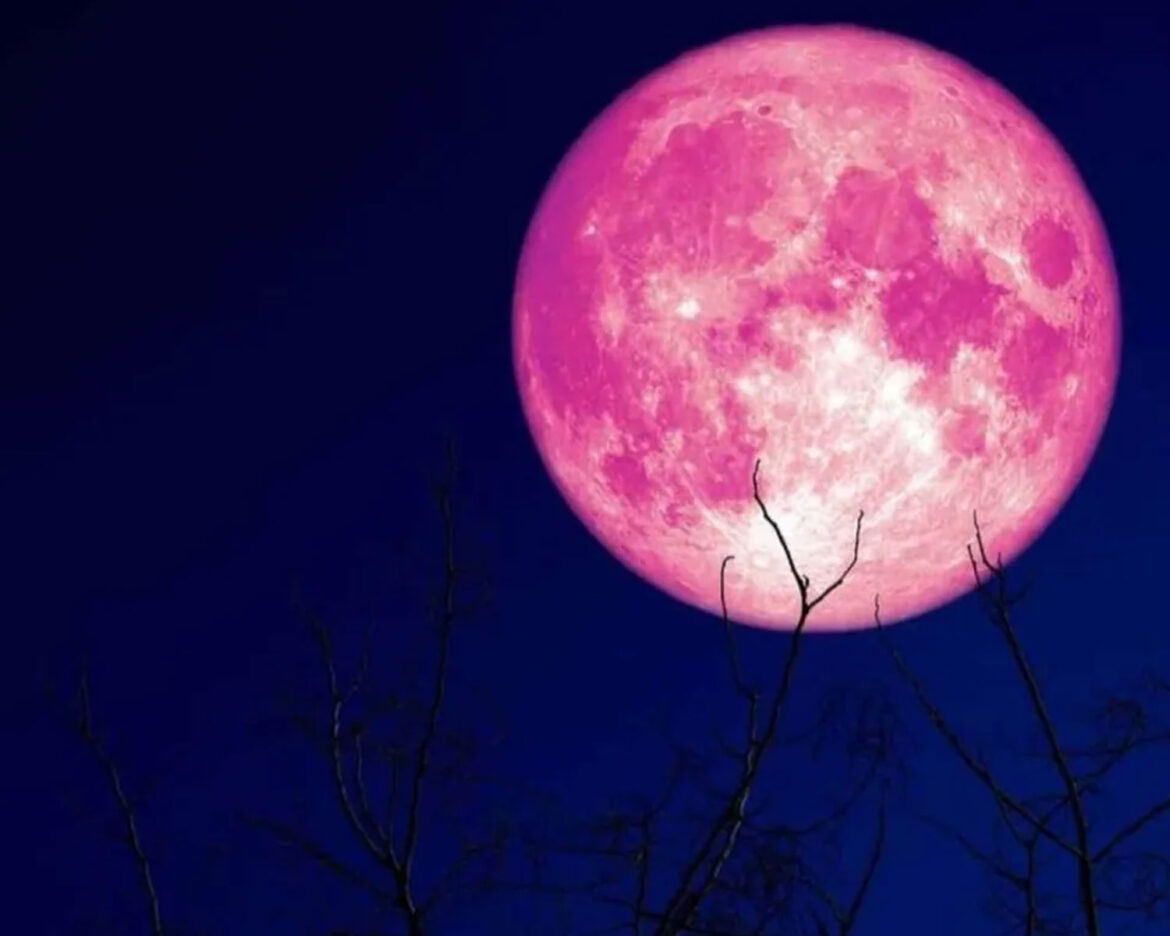 moons